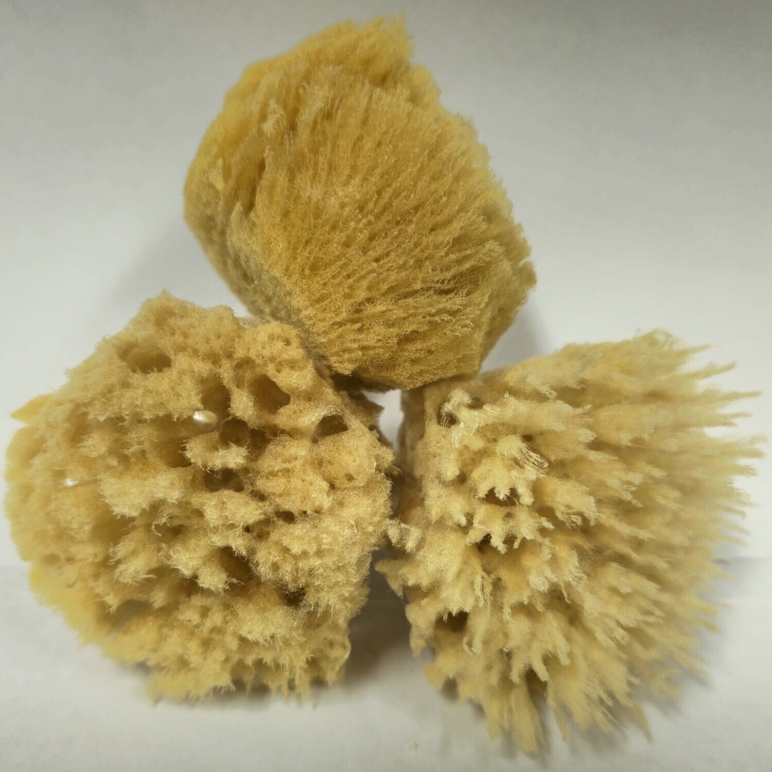 Natural Mini Facial Sponge